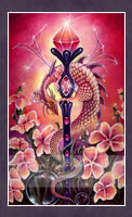 Suit of Wands